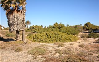 166 m² Land available in Shelley Point