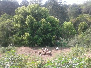 5191 m² Land available in Gillitts