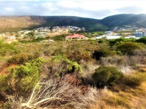 849 m² Land available in Island View