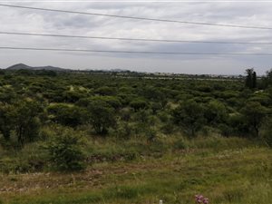 2 ha Land available in Strydfontein and surrounds