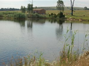 268 ha Farm in Bronkhorstspruit