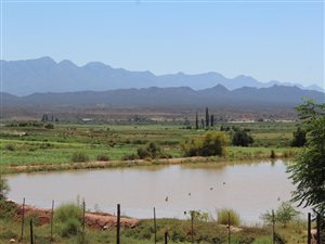 98 ha Farm in Calitzdorp