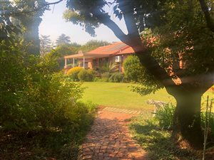 8 Bed House in Pinehaven