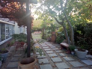 1 Bed Apartment in Wynberg
