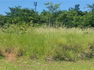 1100 m² Land available in Mtunzini