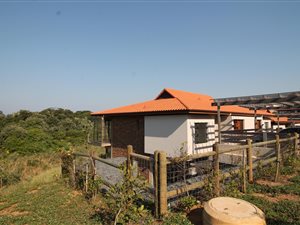3 Bed Apartment in Zimbali Coastal Resort