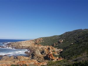 8 ha Farm in Vlees Bay