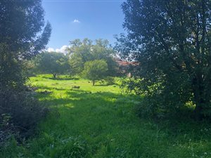 2388 m² Land available in Eversdal Heights
