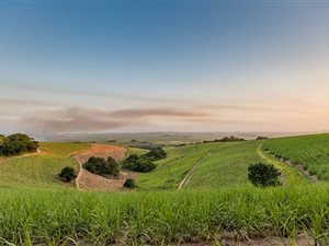 22 ha Farm in Ballito