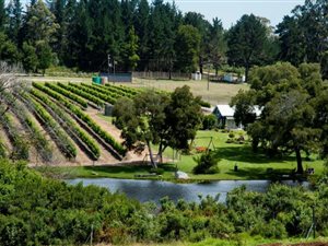 6.4 ha Farm in Plettenberg Bay