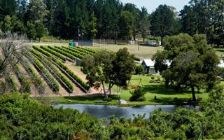 6.4 ha Farm in Plettenberg Bay