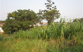 1000 m² Land available in Stanger