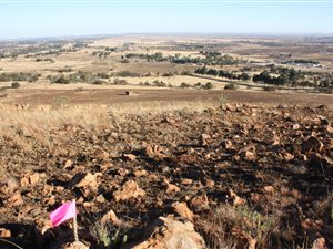 12.8 ha Land available in Lenasia
