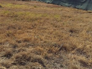 517 m² Land available in Boardwalk