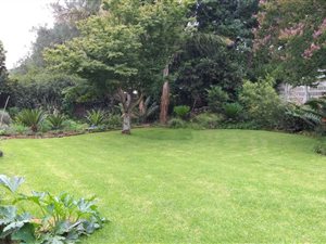 4 Bed House in Signal Hill