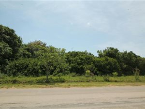 2464 m² Land available in Bathurst and Surrounds