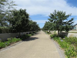 6675 m² Land available in Stellenbosch Central