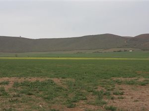 122 ha Farm in Mossel Bay Central