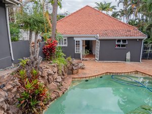 11 Bed House in Musgrave