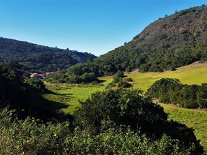 15 ha Farm in Victoria Bay