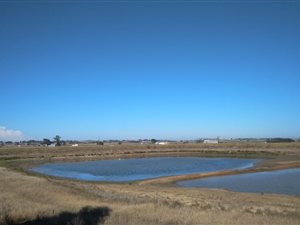 28 ha Farm in George Central