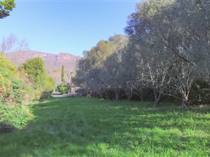 2459 m² Land available in Constantia