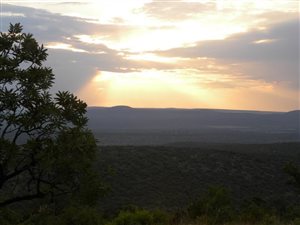 1 ha Land available in Rustenburg Central