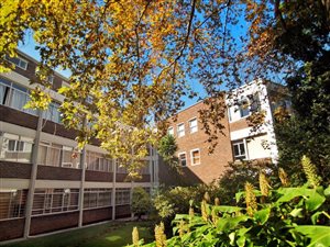 3 Bed Townhouse in Birdhaven