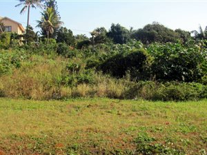 1115 m² Land available in Desainagar