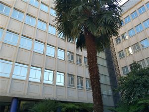4000 m² Commercial space in Braamfontein