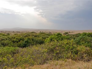 800 m² Land available in Boknesstrand