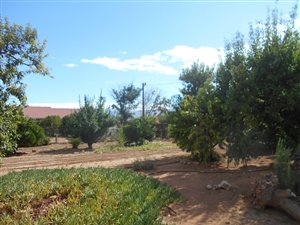 347 m² Land available in Calitzdorp