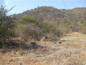 1 ha Land available in Steelpoort
