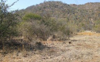 1 ha Land available in Steelpoort