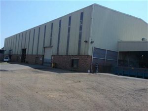 38000 m² Commercial space in Tasbet Park