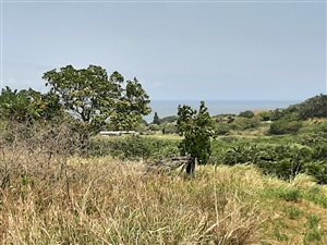 708 m² Land available in Oslo Beach