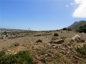 1350 m² Land available in Berghof