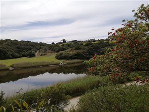 17.3 ha Farm in Stilbaai