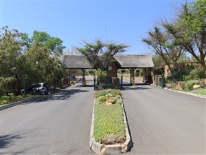 1 ha Land available in Leeuwfontein Estate