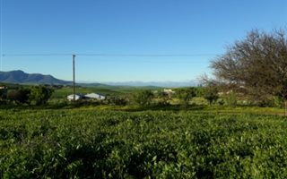 1121 m² Land available in Koringberg