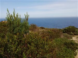 980 m² Land available in Village On Sea