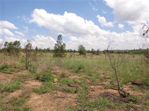 316 m² Land available in Mooikloof Country Residences