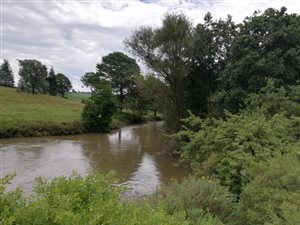 14 ha Smallholding in Kamberg
