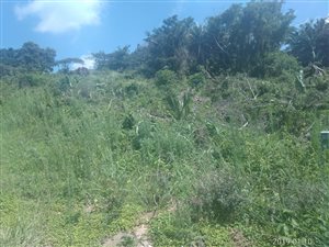 1249 m² Land available in Ramsgate