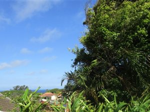 2 Bed Garden Cottage in Durban North