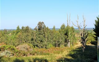 8.6 ha Land available in The Crags