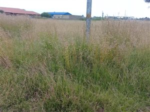 623 m² Land available in Jameson Park