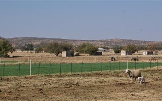 8 ha Farm in Wilgeboom AH