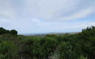 1412 m² Land available in Schoongezicht
