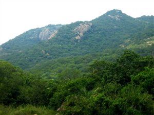1 ha Land available in Nelspruit Central